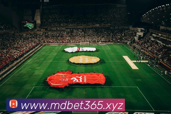 bet365官网发展历程